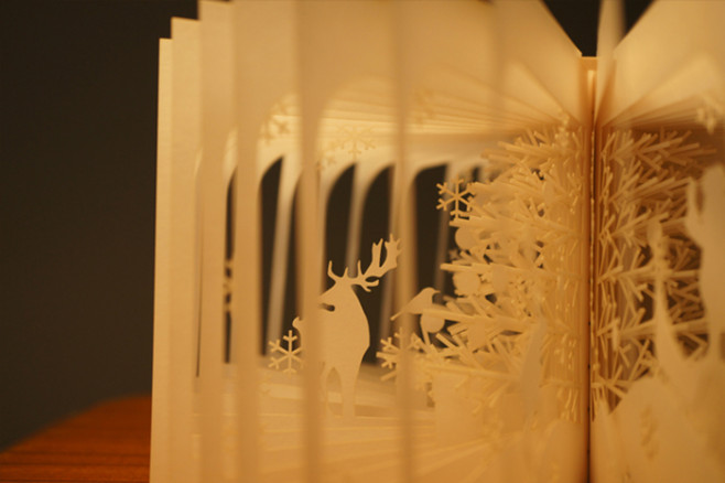 book-11