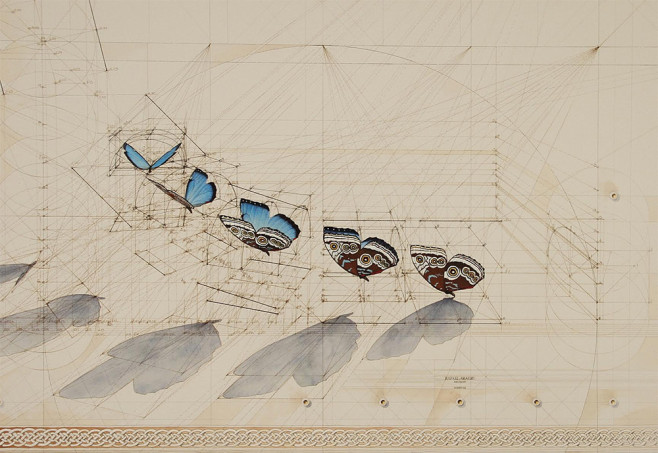 butt6