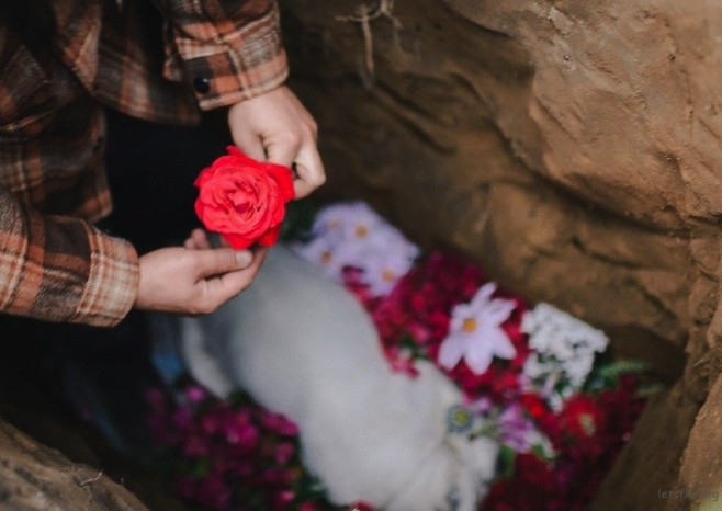 dogburial00