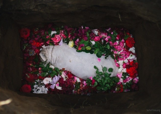 dogburial07
