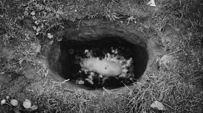 dogburial08