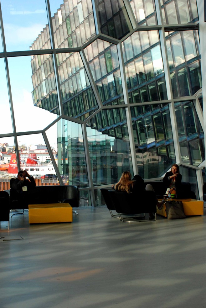 harpa6 DSC_0724