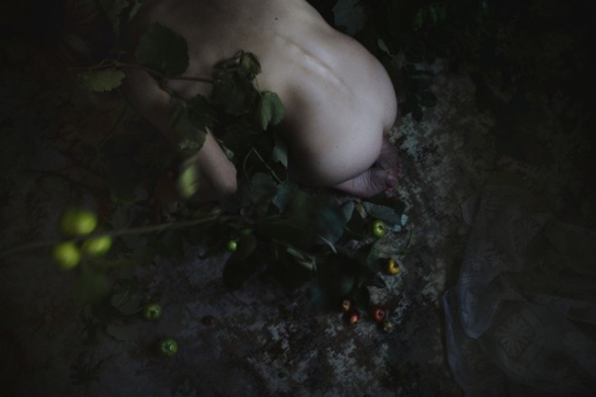 ANJA-13-Back-710x473