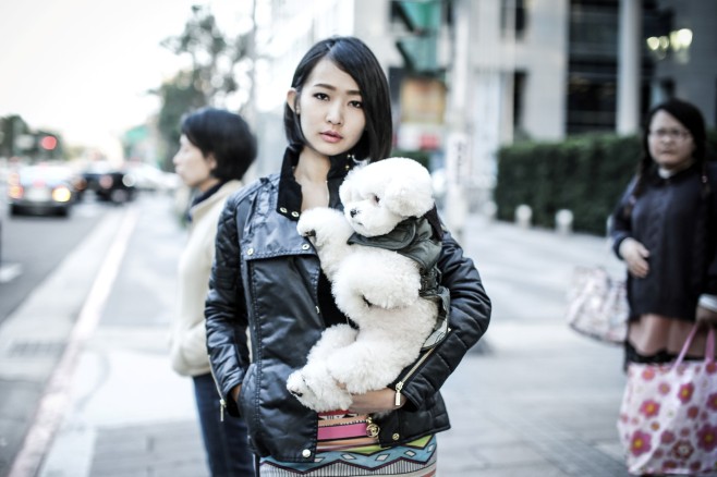 Barbour寵物情人 Quilted dog coat2.