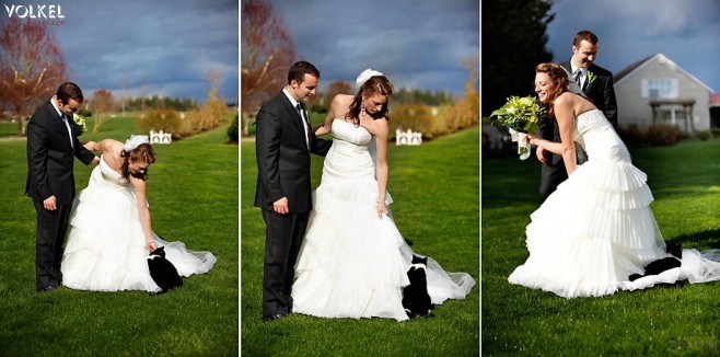 Cat-Sitting-on-Wedding-Dress