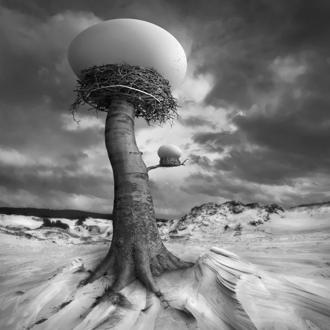 Dariusz-Klimczak11