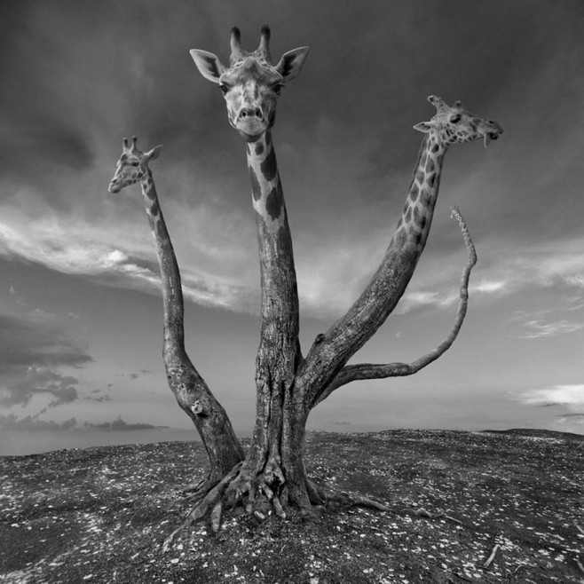 Dariusz-Klimczak15