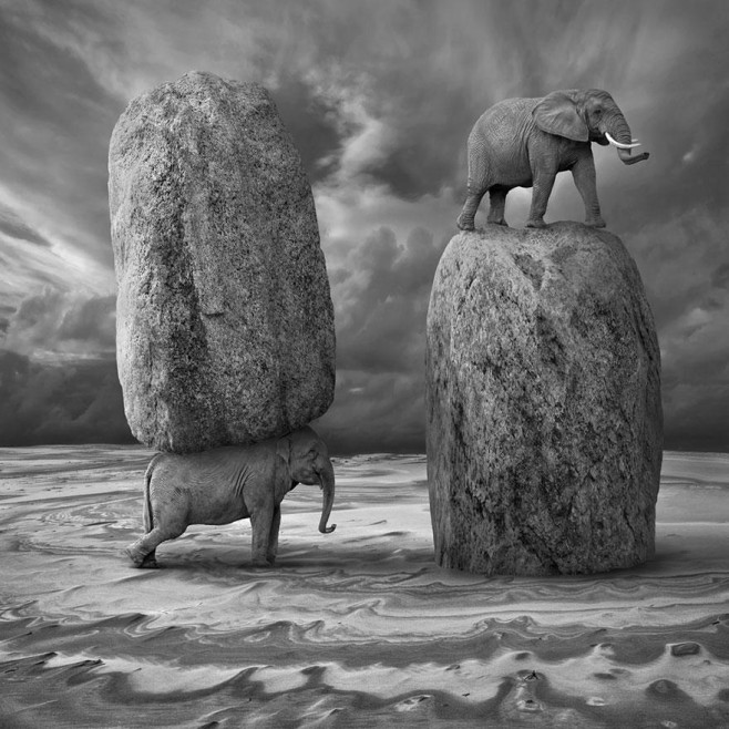 Dariusz-Klimczak18