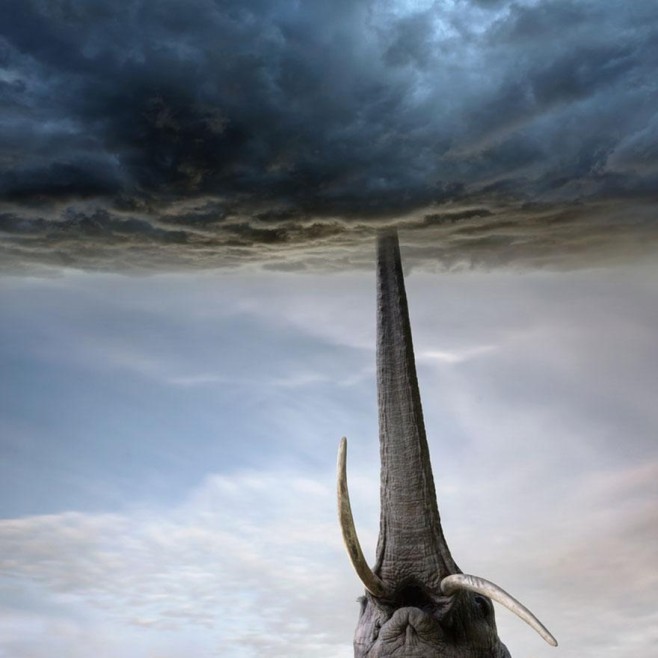 Dariusz-Klimczak4