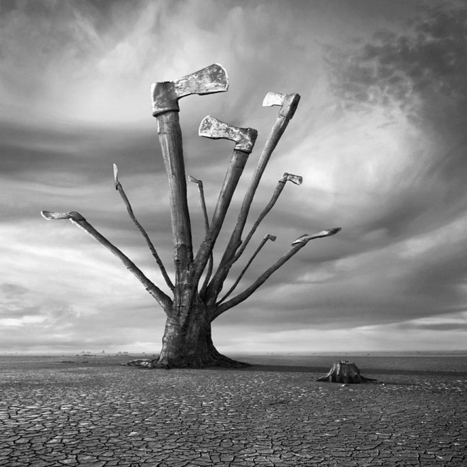 Dariusz-Klimczak9