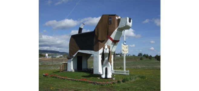 Dog-Bark-920x422