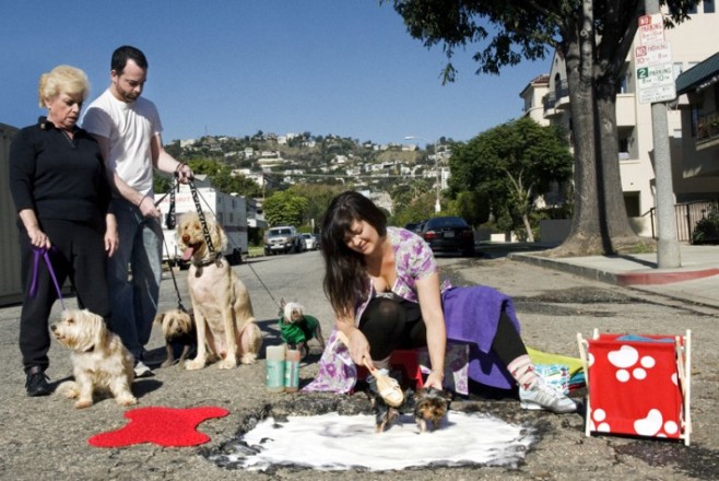 Dog-Wash-Alfred-Street.Los-Angeles-710x475