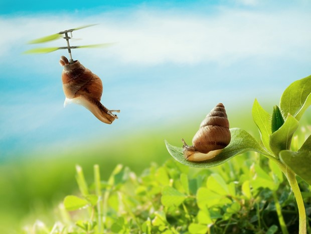 Fresh-and-Creative-Photo-Inspiration-17