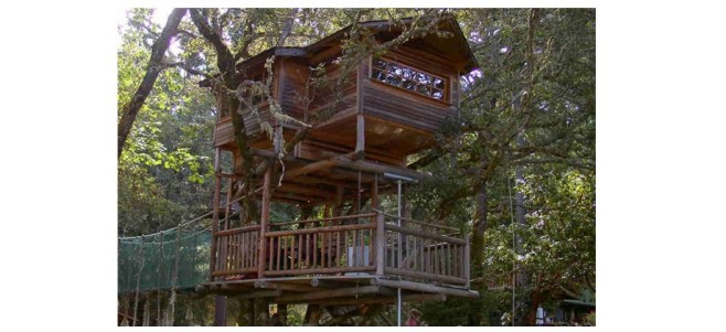 Treehouse-920x422