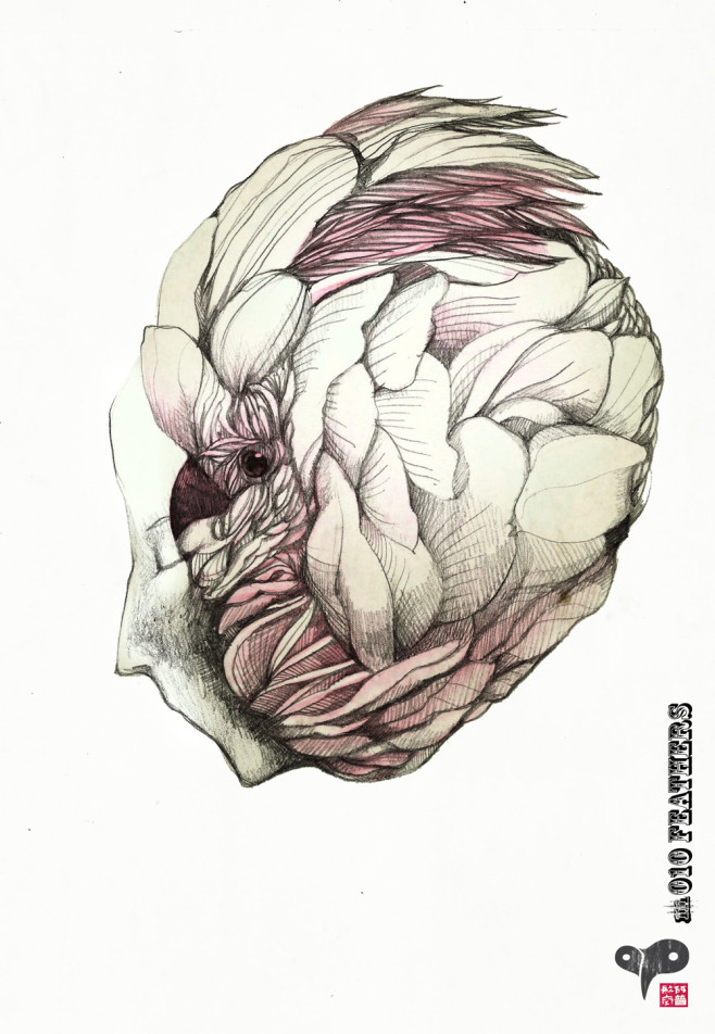 m010 Feathers_s