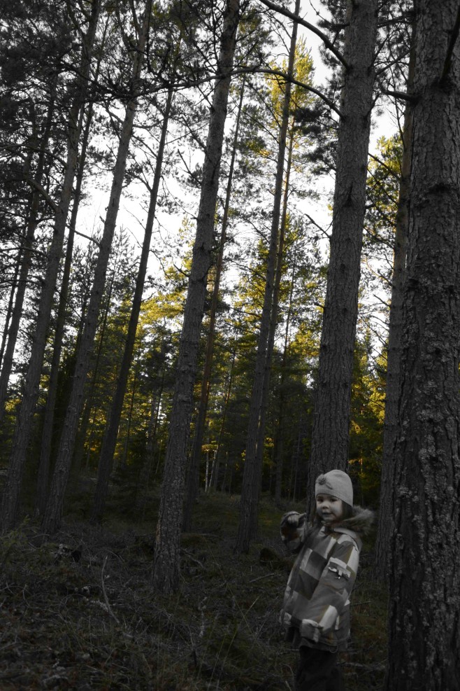 s_DSC0271