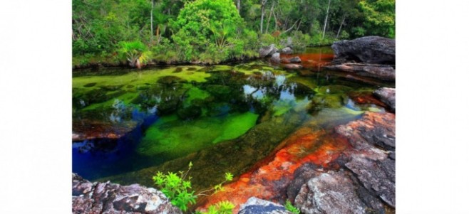 Cano-Cristales-900x412-920x422