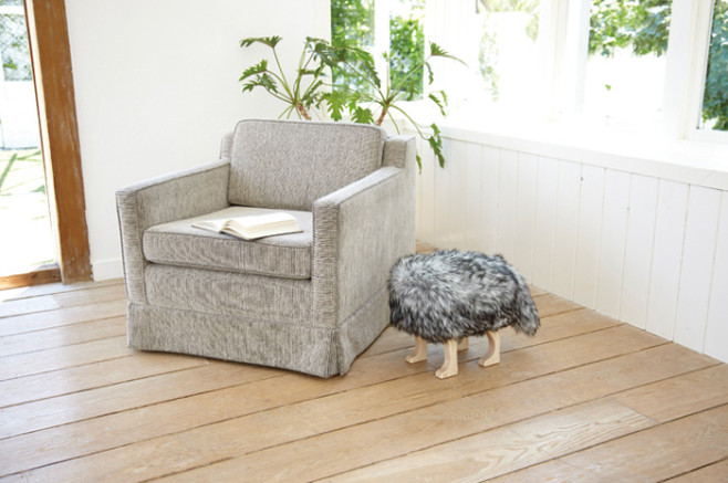 animal-stool