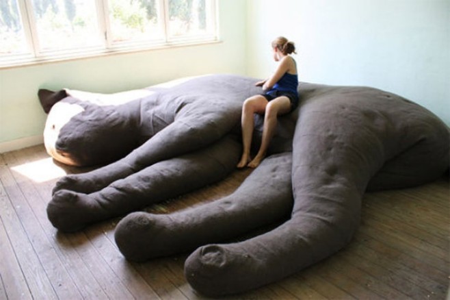 cat-couch