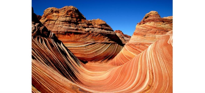 the-wave-920x422