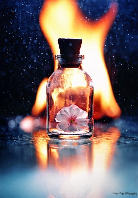 a_fire_inside_by_mylifethroughthelens-d5naact