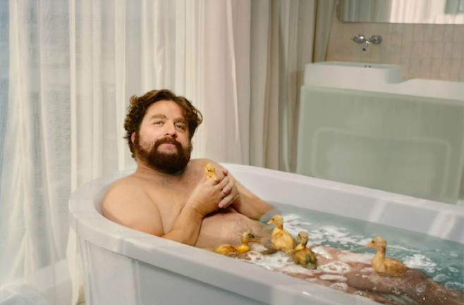 celebrity-portraits-zach-galifianakis