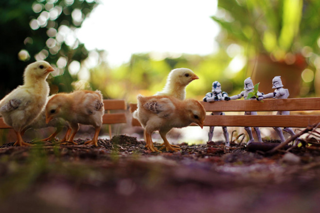 fstoppers-Zahir-Batin-star-wars-creative-toy-photography-h_0011_Layer-5