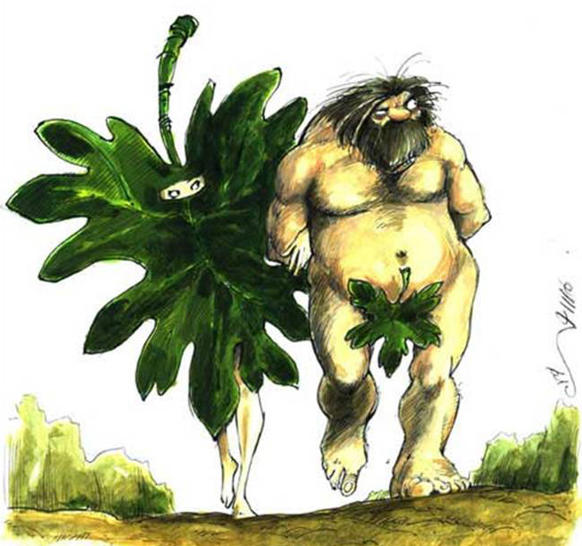 figleaf