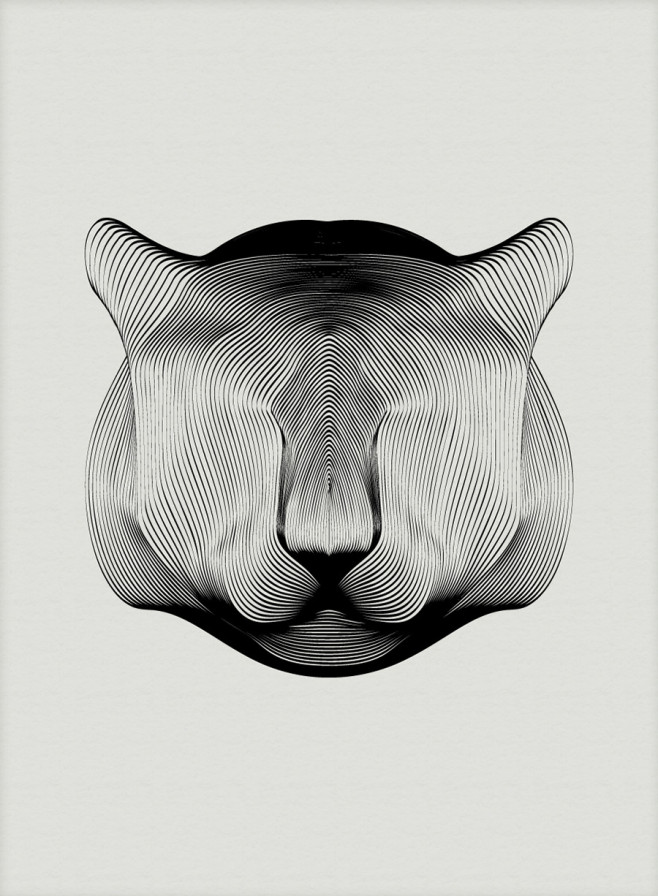 moire-1