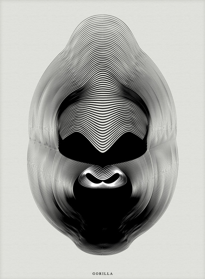 moire-4