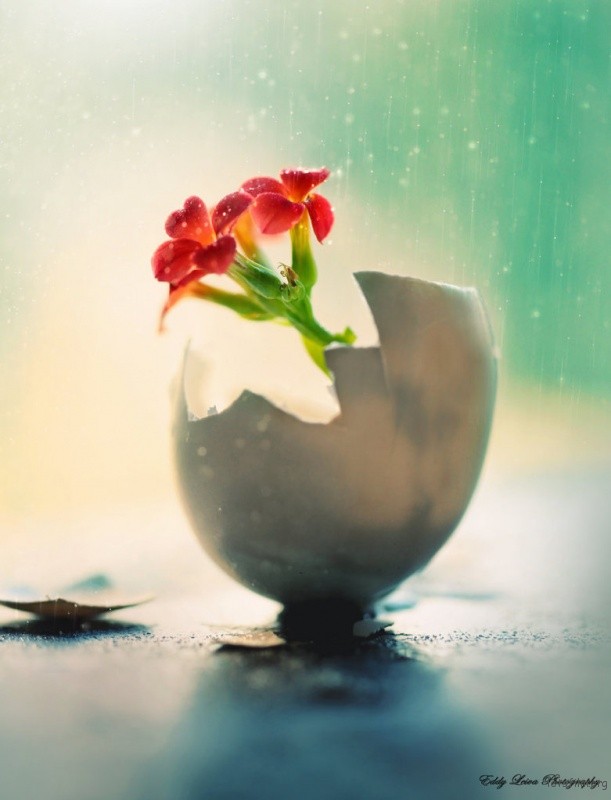 new_born_by_mylifethroughthelens-d6fufig