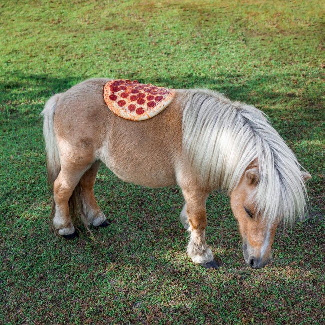 pizza-in-the-wild-2-650x650