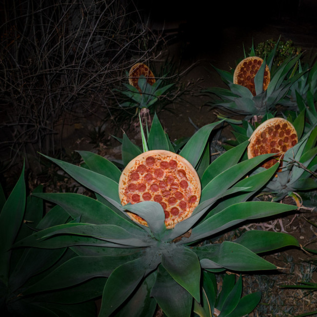 pizza-in-the-wild-4-650x650