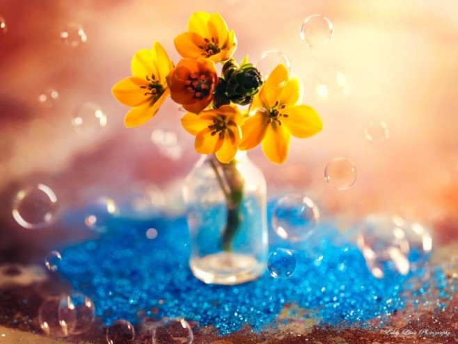 the_magic_of_spring_by_mylifethroughthelens-d7bi1j4