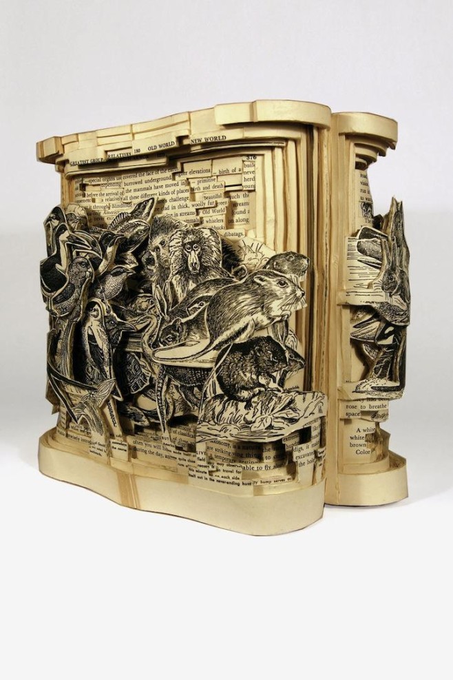 Brian-Dettmer-book-carvings2