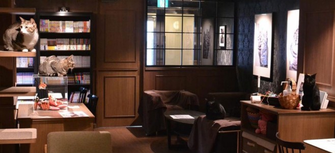 Cafe-Calaugh-920x422