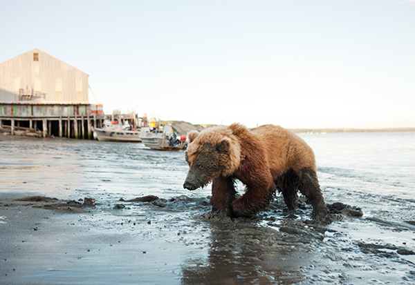 Corey-Arnold-The-Bering-Sea-6
