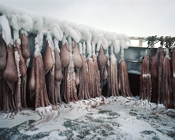 Corey-Arnold-The-Bering-Sea-7