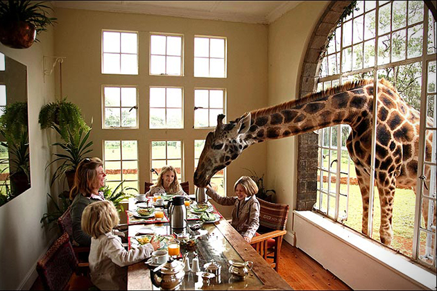 Giraffe-Manor-In-Nairobi-Kenya-4