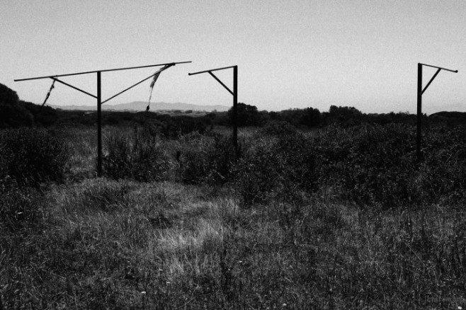 Hometown-12-715x476