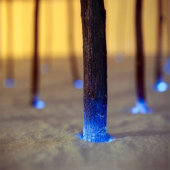 Light-Landscapes-Barry-Underwood-6