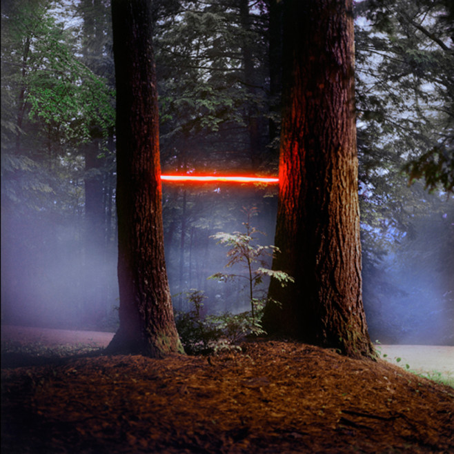 Tree-MacDowell-2013-Barry-Underwood