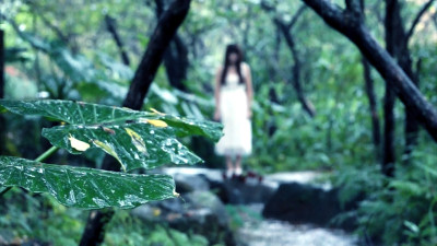 bo雨中
