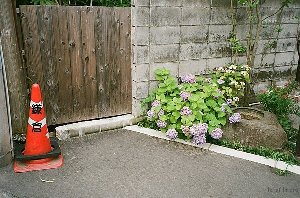 p1604246350