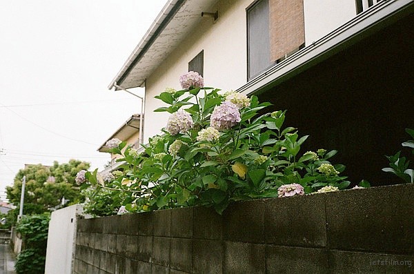 p1604251884