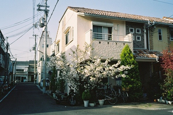 p2181256764