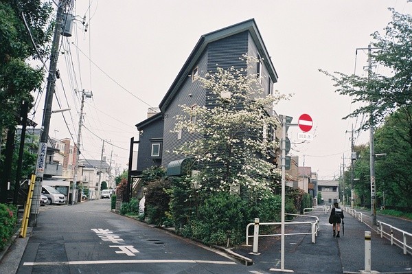 p2181295904