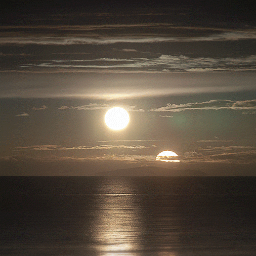 SunSete_506-Micael-Reynaud