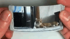 anigif_original-grid-image-13943-1398108806-13