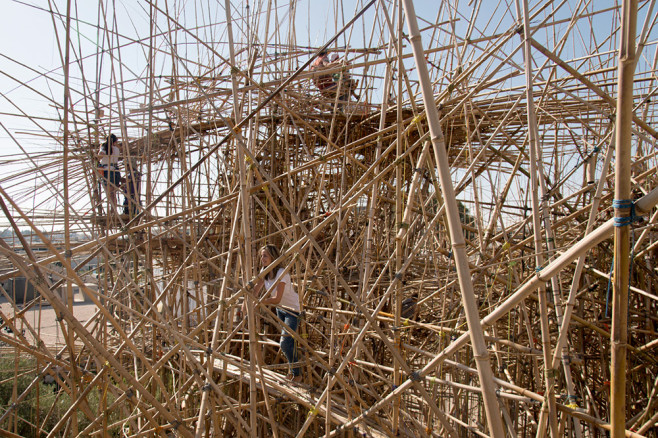 bambu-1